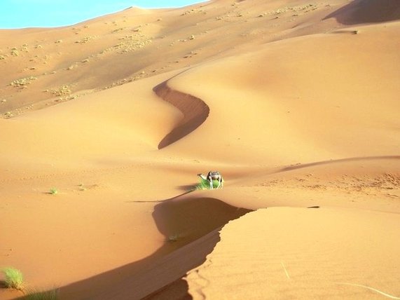 morocco sand dunes 
